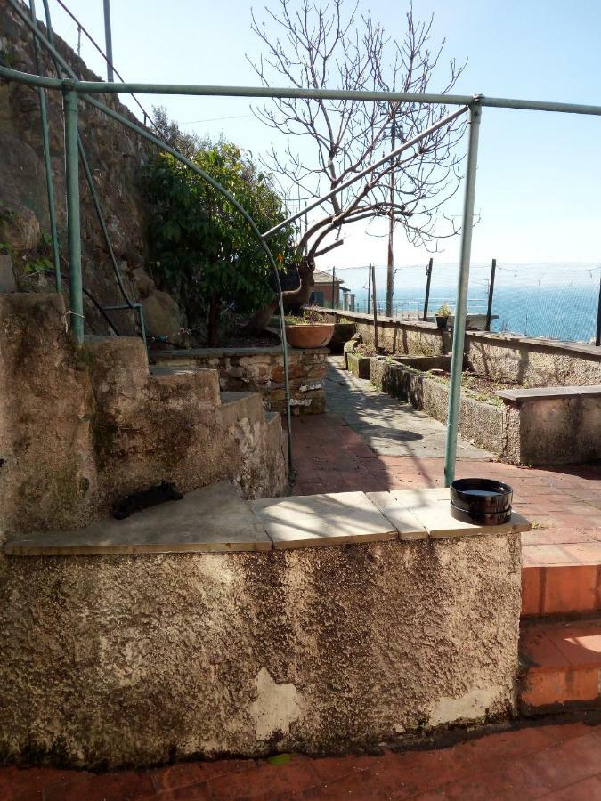 Casa Picasso Apartment เจนัว ภายนอก รูปภาพ